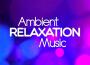 Stress Relief Zone: Soothing Piano with Nature for Sleep, Relax, Meditation專輯_Best Relaxation MusiStress Relief Zone: Soothing Piano with Nature for Sleep, Relax, Meditation最新專輯