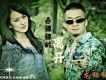 龍貓組合圖片照片