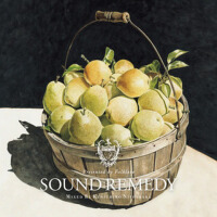 Sound Remedy –Folklove- mixed by Kenichiro Nishiha
