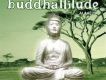 Buddhattitude Allafi