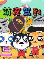 最新動物卡通片_動物卡通片大全/排行榜_好看的動漫