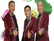 荷之聲歌曲歌詞大全_荷之聲最新歌曲歌詞