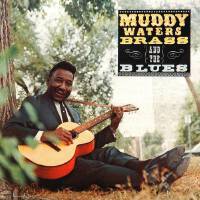 Muddy&nbsp;Waters圖片照片_Muddy Waters