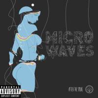 Microwaves圖片照片_Microwaves