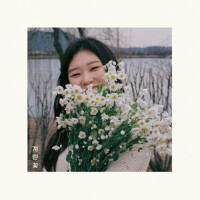 계란꽃_세번째 (雞蛋花_第三)