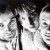 Spiderbait