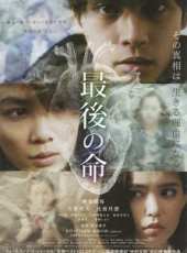 最新2014日本電影_2014日本電影大全/排行榜_好看的電影