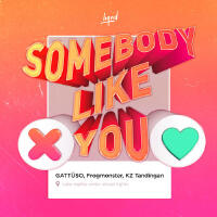 你的模樣 (Somebody Like You)
