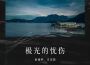 可惜了我們專輯_楊瑜婷可惜了我們最新專輯