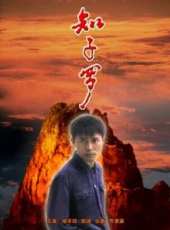 張蕾演過的電影電視劇線上看_影視作品大全_好看的明星