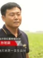 風物遼寧 2017最新一期線上看_全集完整版高清線上看_好看的綜藝