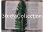Study Collection: Piano, Violin, Nature Sounds, Me專輯_Wellness N WellnessStudy Collection: Piano, Violin, Nature Sounds, Me最新專輯