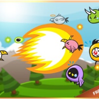 Birdmonster圖片照片_Birdmonster