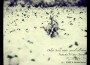 Dulcet Series Winter Special Collection - Fantasti專輯_BreezewaxDulcet Series Winter Special Collection - Fantasti最新專輯