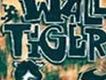 壁虎歌曲歌詞大全_壁虎最新歌曲歌詞