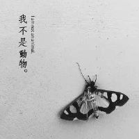毛鳧圖片照片_照片寫真