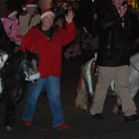 Holiday Parade圖片照片_Holiday Parade