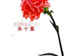 百花齊放 CD3