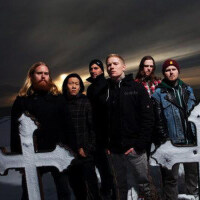 Purified In Blood圖片照片_Purified In Blood