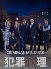 犯罪心理第10季線上看_全集高清完整版線上看_分集劇情介紹_好看的電視劇