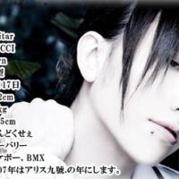 Tora Tora圖片照片_Tora Tora
