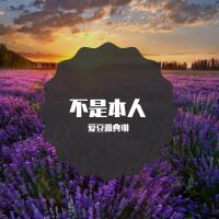 愛豆雅典琳歌曲歌詞大全_愛豆雅典琳最新歌曲歌詞
