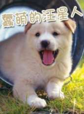 最新2014其它卡通片_2014其它卡通片大全/排行榜 - 蟲蟲動漫