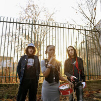 Noisettes圖片照片_Noisettes