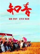 最新2012電視劇_好看的2012電視劇大全/排行榜_好看的電視劇
