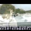 Justin Guarini/Kelly圖片照片_Justin Guarini/Kelly