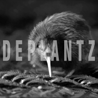 DeplantZ圖片照片_DeplantZ