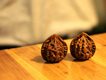 Walknut圖片照片