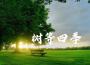 樹等四季專輯_朱侯樹等四季最新專輯