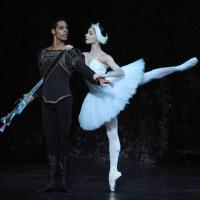 Royal Ballet Sinfonia圖片照片_照片寫真