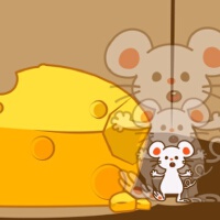 Mr Kids圖片照片_Mr Kids