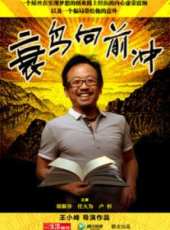 老狼演過的電影電視劇線上看_影視作品大全_好看的明星
