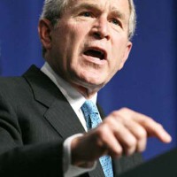 Bush圖片照片_Bush