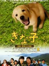 最新2011-2000日本家庭電影_2011-2000日本家庭電影大全/排行榜_好看的電影