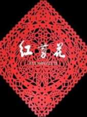 齊如意演過的電影電視劇線上看_影視作品大全_好看的明星