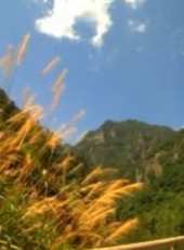 最新2013內地電影_2013內地電影大全/排行榜_好看的電影