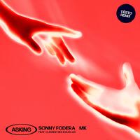 Asking (feat. Clementine Douglas) [Tiësto Remix]