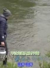 金炳萬的叢林法則最新一期線上看_全集完整版高清線上看_好看的綜藝