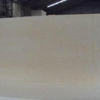 The White Birch圖片照片_The White Birch