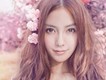 Angelababy歌曲歌詞大全_Angelababy最新歌曲歌詞