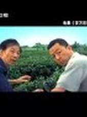 首映禮最新一期線上看_全集完整版高清線上看_好看的綜藝