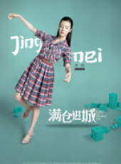 滿倉進城線上看_全集高清完整版線上看_分集劇情介紹_好看的電視劇