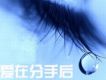 代慧穎歌曲歌詞大全_代慧穎最新歌曲歌詞
