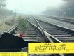 那些芳草的香