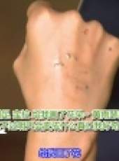 金炳萬的叢林法則最新一期線上看_全集完整版高清線上看_好看的綜藝
