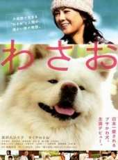 尾美利德演過的電影電視劇線上看_影視作品大全_好看的明星